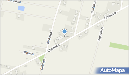 Dorota Feduszko, ul. Chmielna 42, Bogdaszowice 55-080 - Przedsiębiorstwo, Firma, NIP: 6121751582