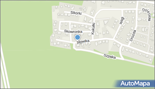 Dorota Gzyl Polski Instytut Kształcenia Za Granicą, Lusowo 62-080 - Przedsiębiorstwo, Firma, NIP: 9720050048