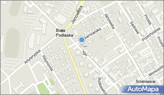 Dorota Kościowska - Artykuły Przemysłowe, Biała Podlaska 21-500 - Przedsiębiorstwo, Firma, NIP: 5371007950