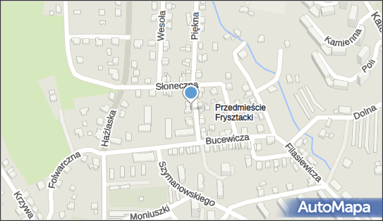 Dorota Macoszek, Piękna 6, Cieszyn 43-400 - Przedsiębiorstwo, Firma, NIP: 5482545892