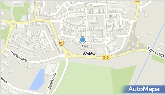 Dorota Pach, pl. Szkolny 3, Wołów 56-100 - Przedsiębiorstwo, Firma, NIP: 9171198456