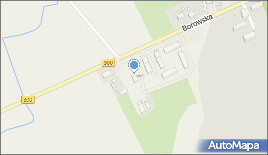 9241612531, Dostawa do Domu Adi Adam Podkalicki 