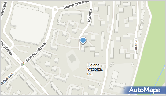 5422504205, DP Consulting Dariusz Pokorski 