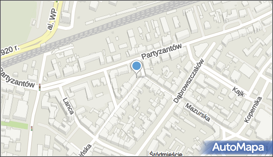 7393018577, dr Bor Michał Boraczyński 
