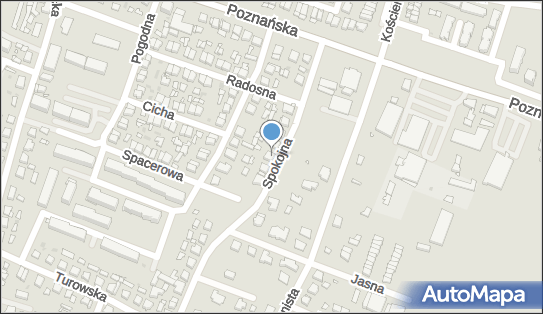 DRiM - Hubert Kurzawski, Spokojna 13, Pniewy 62-045 - Przedsiębiorstwo, Firma, NIP: 7871951185