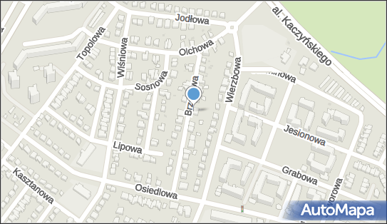Drink Bar Konwicka, Brzozowa 19, Lubin 59-300 - Przedsiębiorstwo, Firma, NIP: 6922384360