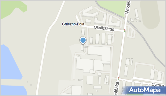 Drinks, Pstrowskiego Wincentego 21, Gniezno 62-200 - Przedsiębiorstwo, Firma, numer telefonu, NIP: 7842475865