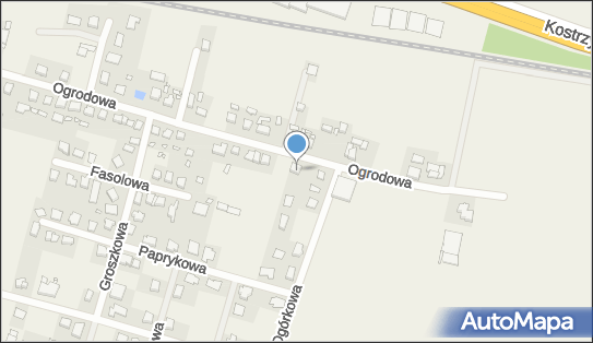 Drive Service Adam Prochorski, ul. Ogrodowa 42, Paczkowo 62-021 - Przedsiębiorstwo, Firma, NIP: 7811181022