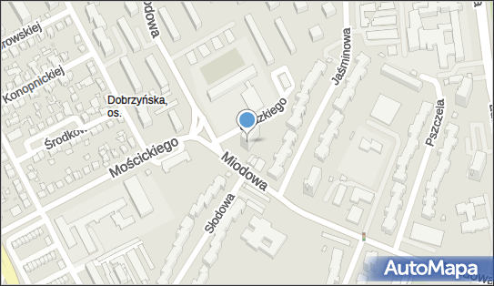 610063860, Drobne Naprawy i Regulacja Silników Spalinowych Adamczyk Jan 