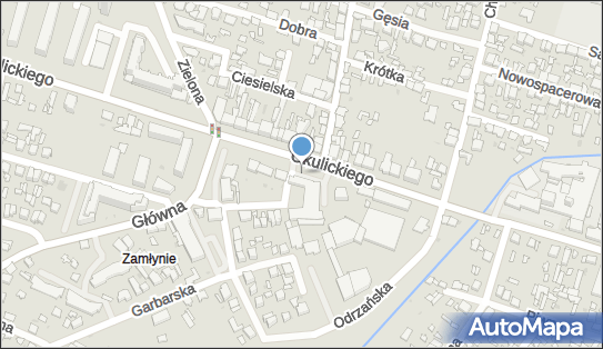 Drób, ul. gen. Leopolda Okulickiego 45, Radom 26-600 - Przedsiębiorstwo, Firma, NIP: 7961081115