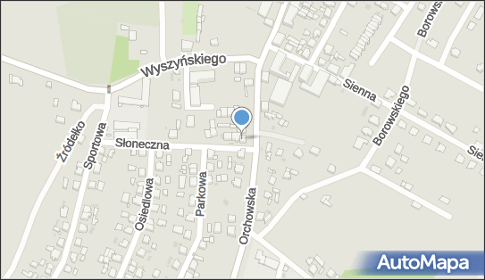 Drzewiecki Mobile Stacja Kontroli Pojazdów Drzewiecki Krzysztof 62-240 - Przedsiębiorstwo, Firma, NIP: 7842273943