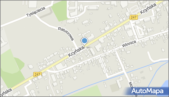 Dubus, Kcyńska 17, Szubin 89-200 - Przedsiębiorstwo, Firma, NIP: 5621186067
