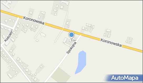 Dyguła Remigiusz Handel Obwoźny, Spokojna 4, Sienno 86-022 - Przedsiębiorstwo, Firma, NIP: 5591339795