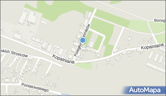 6481817952, Olearczyk Teresa, Dystrybucja 