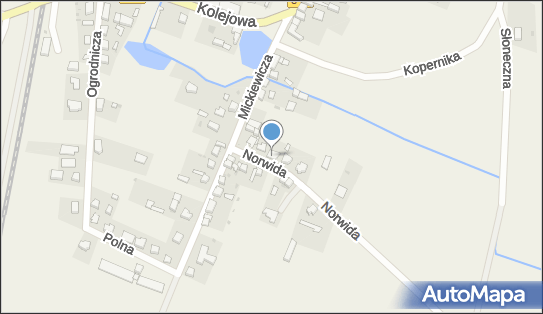 Dyszkiewicz, ul. Cypriana Kamila Norwida 3, Węgry 55-020 - Przedsiębiorstwo, Firma, NIP: 6911805384