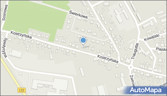 080146253, Działalność Ambulansów Wyjazdowych Mirosław Wiśniewski 