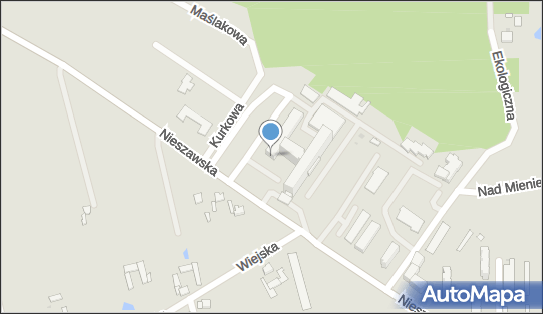 Działalność Fizjoterapeutyczna, Nieszawska 6, Lipno 87-600 - Przedsiębiorstwo, Firma, NIP: 8931267146