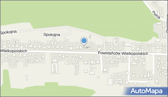 Działalność Usługowo Handlowa Nowa Wieś, Nowa Wieś 64-234 - Przedsiębiorstwo, Firma, NIP: 6981337333