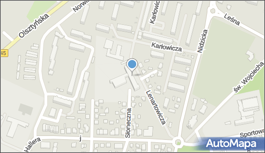 Działdowskie Centrum Edukacji Ekologicznej, ul. Lenartowicza 1 13-200 - Przedsiębiorstwo, Firma, numer telefonu, NIP: 5711548249