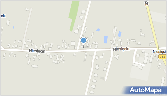 Działy Specjalne Dariusz Kacprzak, Niesięcin 59 95-050 - Przedsiębiorstwo, Firma, NIP: 7272370252