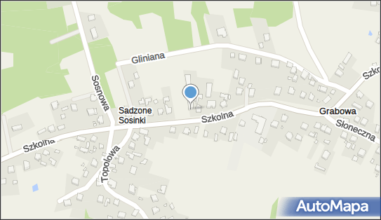 Działy Specjalne Jolanta Jachna, ul. Szkolna 21, Grabowa 42-450 - Przedsiębiorstwo, Firma, numer telefonu, NIP: 6491574468