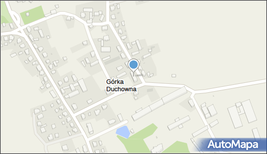 Działy Specjalne Leszek Nowak, Górka Duchowna 33, Górka Duchowna 64-111 - Przedsiębiorstwo, Firma, NIP: 6971987213