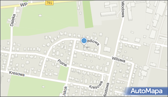 Działy Specjalne Produkcji Rolnej Adam Janicki, Willowa 3 42-400 - Przedsiębiorstwo, Firma, NIP: 6491080039