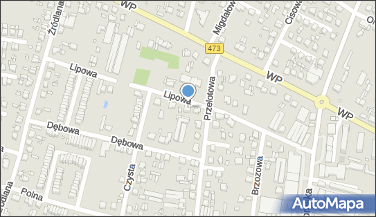 Działy Specjalne, ul. Lipowa 1 A, Piotrków Trybunalski 97-300 - Przedsiębiorstwo, Firma, NIP: 7711554819