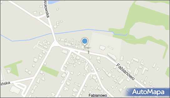 Dziamski Leszek Łazarowska Maria, Fabianowo 17, Poznań 60-005 - Przedsiębiorstwo, Firma, numer telefonu, NIP: 7791059541