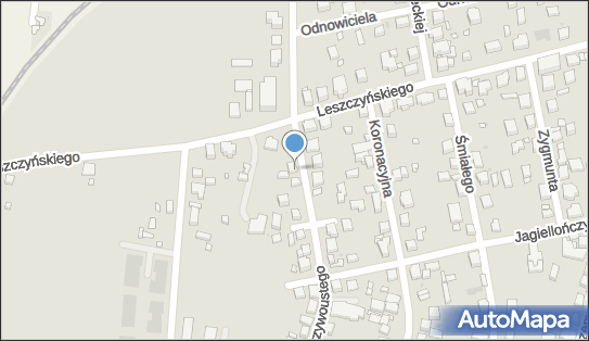 5222857123, Dzidostal Plus 