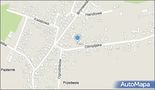 Dziechciarz Anna Przedsiębiorstwo Wielobranżowetrans-Pol 42-520 - Przedsiębiorstwo, Firma, NIP: 6291642857