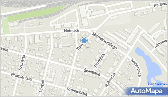 Dziecięca Akademia Artystyczna Kamil Rutkowski, ul. Tumska 40 02-430 - Przedsiębiorstwo, Firma, NIP: 8883015919