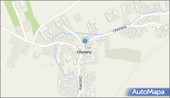 Dziedzic Janczewska, Olszany 139, Olszany 58-150 - Przedsiębiorstwo, Firma, numer telefonu, NIP: 8841547853