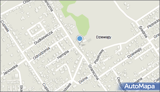 Dziurska Olga, Graniczna 86B, Dąbrowa Górnicza 41-300 - Przedsiębiorstwo, Firma, NIP: 6291677778