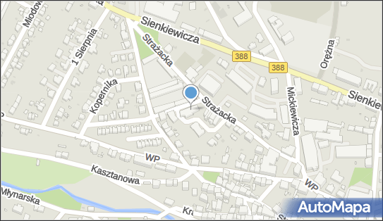 890182658, Sklep Odzieżowy A-2 Andrzej Dźwierzyński 