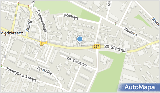 E-Vila Robert Niedźwiecki, 30 Stycznia 35, Międzyrzecz 66-300 - Przedsiębiorstwo, Firma, NIP: 9730693121
