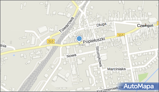 Ebi Włodzimierz Sołtysiak, 24 Stycznia 21, Czempiń 64-020 - Przedsiębiorstwo, Firma, NIP: 9950013358