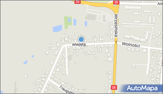 Ecofeed, Wiejska 7a, Gniezno 62-200 - Przedsiębiorstwo, Firma, numer telefonu, NIP: 7841016061