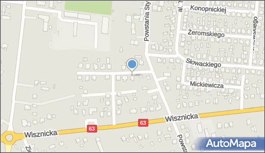 5381031341, Wioletta Wysokińska Economic Consultant 