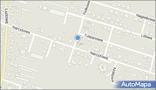Edward Trzepizur - Działalność Gospodarcza, Narcyzowa 25 42-224 - Przedsiębiorstwo, Firma, NIP: 5731187719