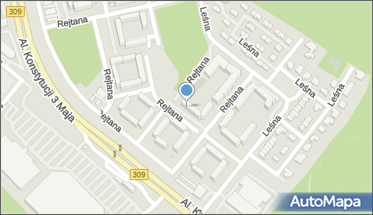 6961467771, Bogusława Skowron Leasing, Finanase 