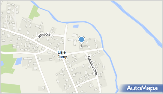 Ego Light, ul. Nadrzeczna 1, Lisie Jamy 37-600 - Przedsiębiorstwo, Firma, NIP: 7931624605