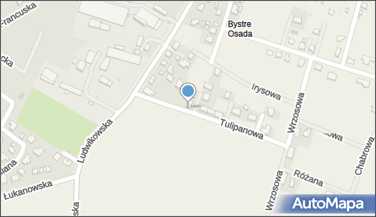 Eko Wóz Wywóz Nieczystości Płynnych, ul. Tulipanowa 3, Bystre 56-400 - Przedsiębiorstwo, Firma, NIP: 9111278246