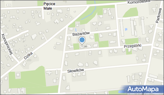 5221006707, Elsa` Elżbieta Kawecka-Surowiec 