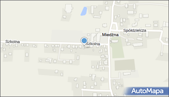 Elżbieta Kaźmierczak - Działalność Gospodarcza, Szkolna 4 43-227 - Przedsiębiorstwo, Firma, NIP: 6381199242