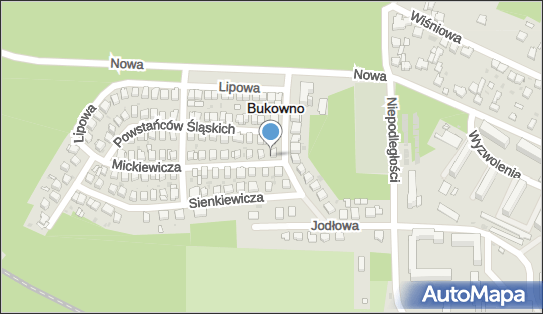 271258323, Kozieł Elżbieta 