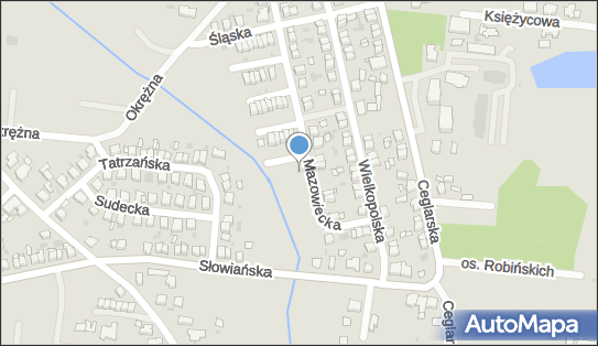 Energy Sped Mateusz Tarnawski, ul. Lubuska 1, Krotoszyn 63-700 - Przedsiębiorstwo, Firma, NIP: 6211688491