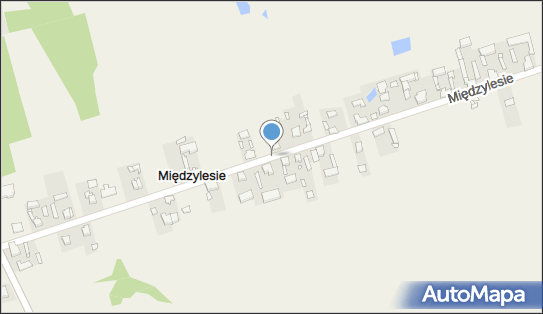 Engiplast PL, Międzylesie 51, Międzylesie 57-530 - Przedsiębiorstwo, Firma, NIP: 8811429126