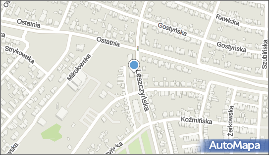 Ernet, ul. Leszczyńska 56h, Poznań 60-103 - Przedsiębiorstwo, Firma, NIP: 9721138578