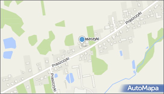 Estetica - Studio Urody i Wizażu, Praszczyki 72, Praszczyki 42-140 - Przedsiębiorstwo, Firma, NIP: 5741862849